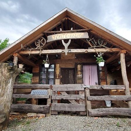 Casa Rustic Feher & Fekete Vendeghazak Sovata Exterior foto