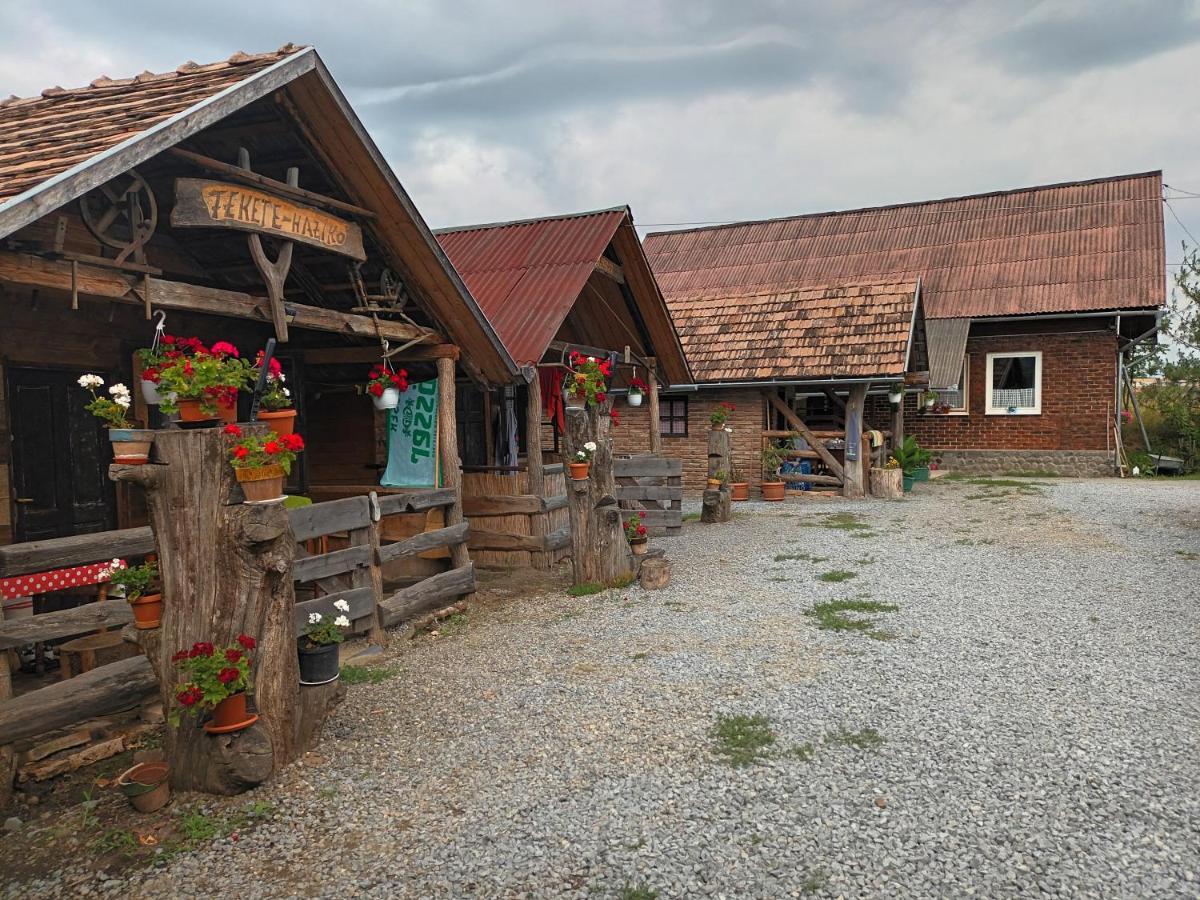Casa Rustic Feher & Fekete Vendeghazak Sovata Exterior foto